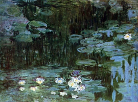 Water lilies 2
