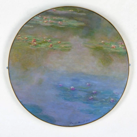 Round Water Lilies