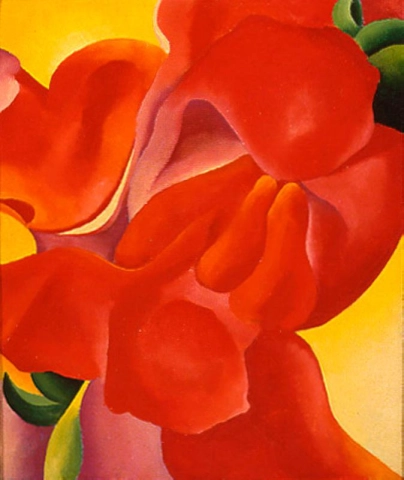 Canna rouge -1923