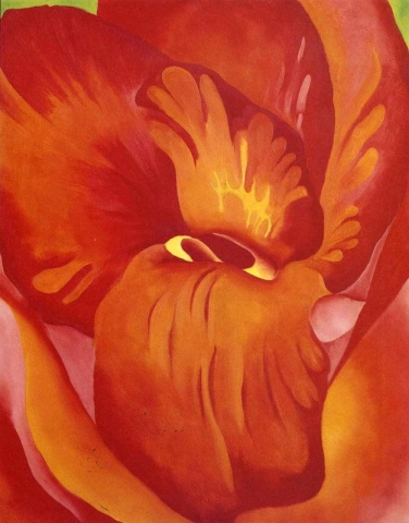 Rød og oransje canna - 1922