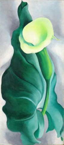 Calla (Giglio - Giallo n. 2) - 1927