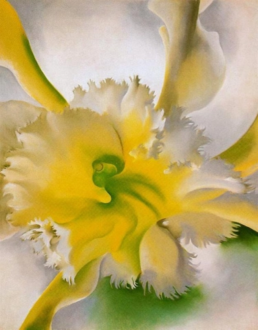 Un'orchidea - 1941