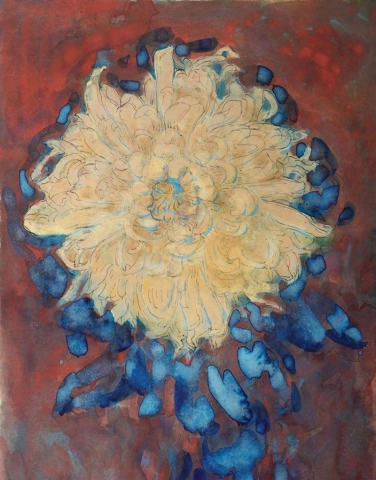 Chrysanthemum C. 1908-09