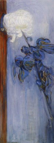 Chrysant met rood gordijn - 1908