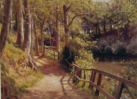 Metsän polku