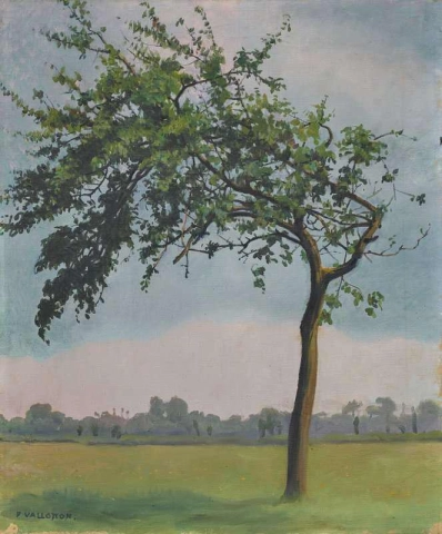瓦伦日维尔苹果树 1904