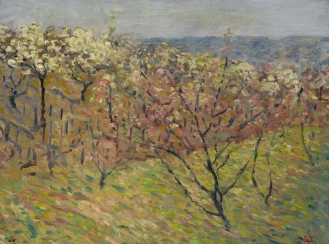 Деревья в цветах, около 1895 г.
