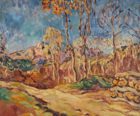 Миди Пейзаж 1902