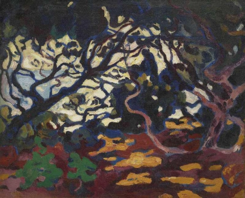 أشجار الصنوبر بجانب البحر في الجنوب، كاليفورنيا، 1904
