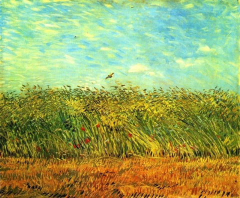 Пшеничное поле с жаворонком