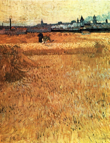 Campos de trigo con vistas a Arles