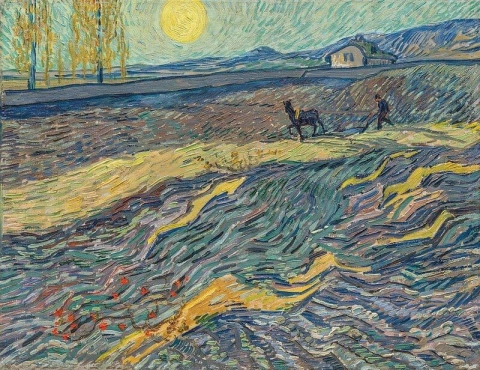 Lavrador Van Gogh em um campo