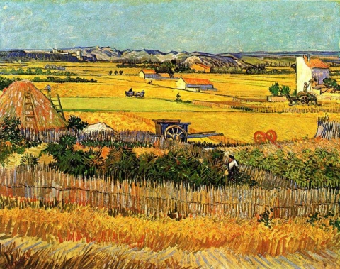 الحصاد في La Crau مع ظهور Montmajour في الخلفية