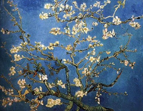 Almond Blossoms - Dark Blue