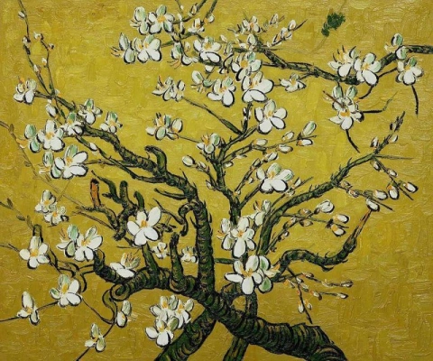 Almond Blossoms - Yellow