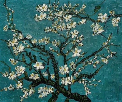 شجرة اللوز في إزهار - أزرق فاتح