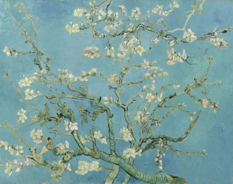 Amandelboom in bloei - Origineel