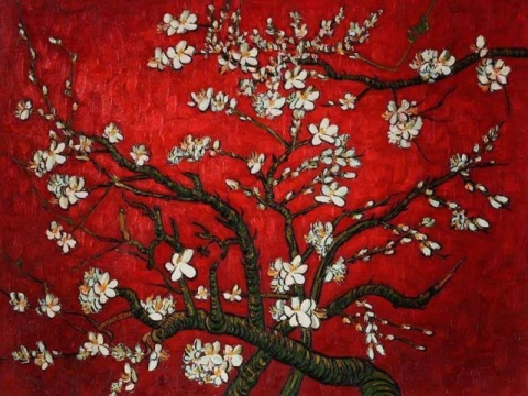 Almond Tree In Bloom - Red