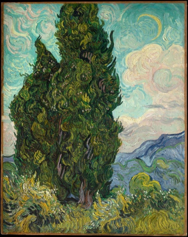 The Cypresses