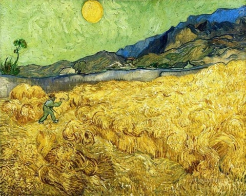 Campo di grano con mietitore e sole