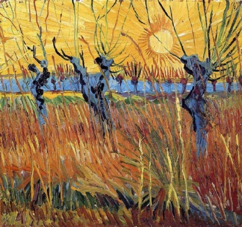 Weiden bei Sonnenuntergang Arles März 1888