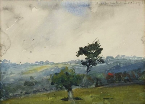 Buckhurst collina 1881