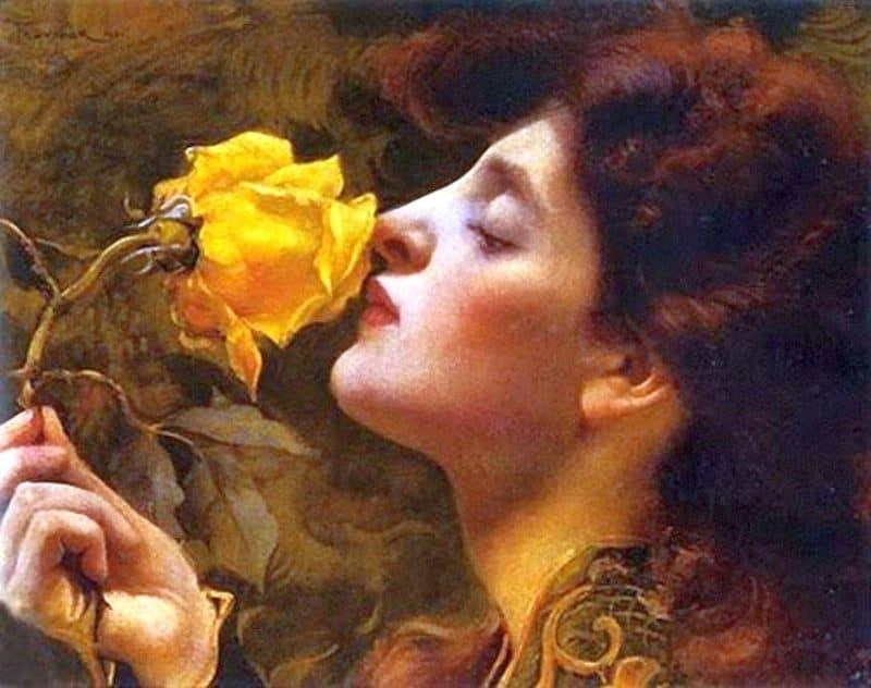 薔薇の貴婦人 1901 by フランティシェク・ドヴォルザーク 油絵複製販売