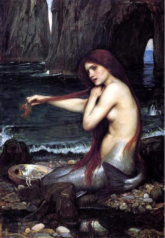 人魚のスケッチ 1892 by ジョン・ウィリアム・ウォーターハウス