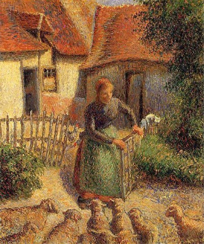 The shepherdess brings in her sheep
