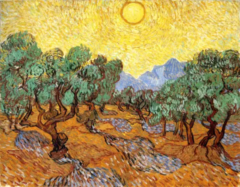 Olive Trees With Yellow Sky And Sun