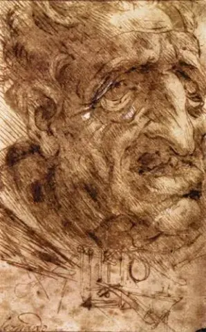 Head of an Old Man  c.1488