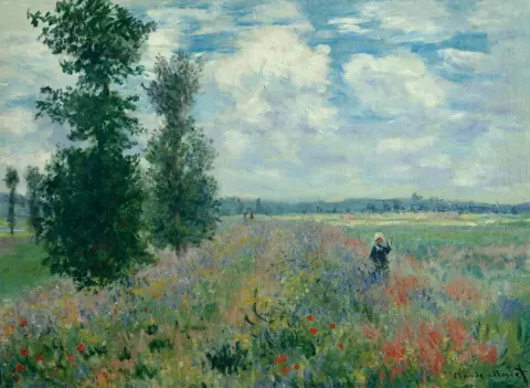 Campo de amapolas de Argenteuil