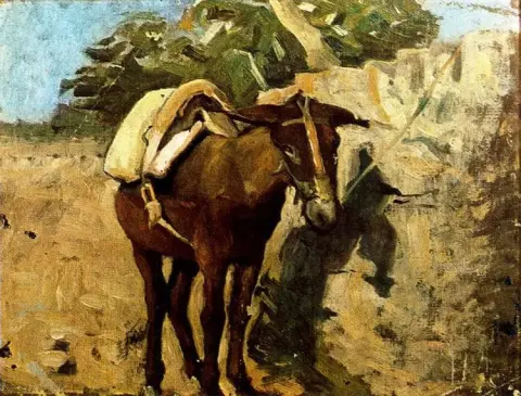 Mule 1898