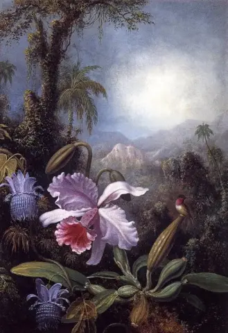 Orquídeas, flores de la pasión y colibrí