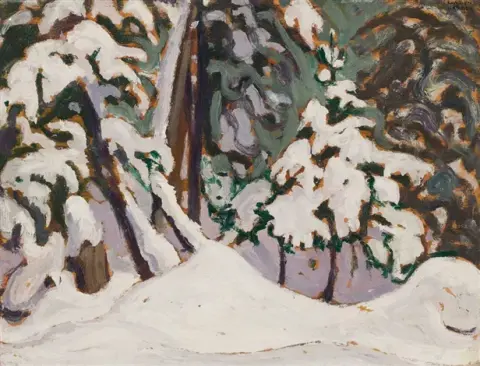 Schnee im Wald, Algonquin Park I