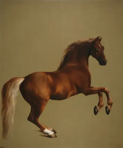 Whistlejacket 1761-62