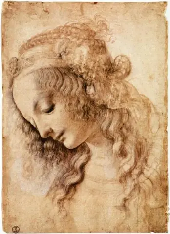 Testa di donna c.1473 Dipinto