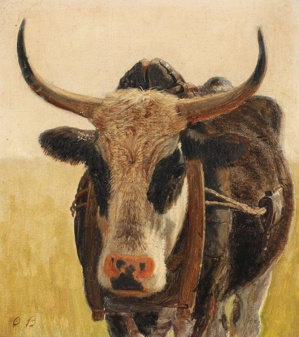 Een zwartgevlekte os, ca. 1863