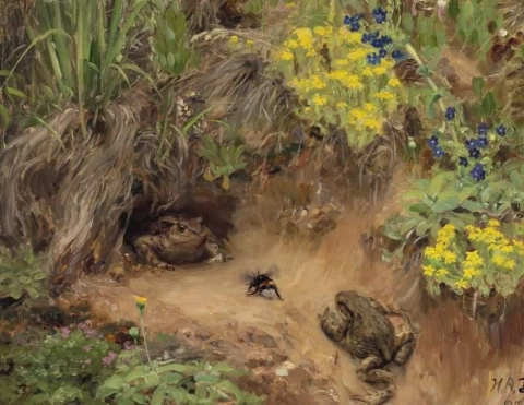 Blick von einem Waldboden mit ein paar Kröten, die sich darauf vorbereiten, eine Hummel anzugreifen, 1912