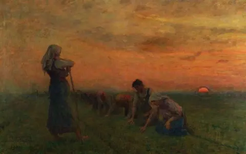 The Weeders Of Flax
