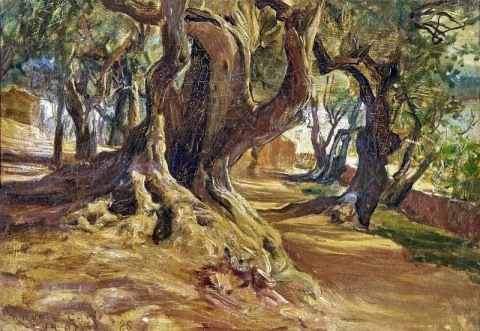 Tronco de árbol 1885