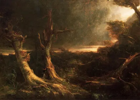 Tornado in a wilderness