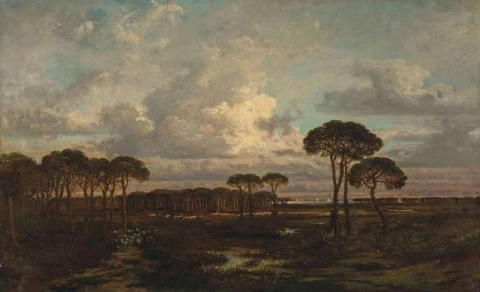 Landes Landscape With Umbrella Pines