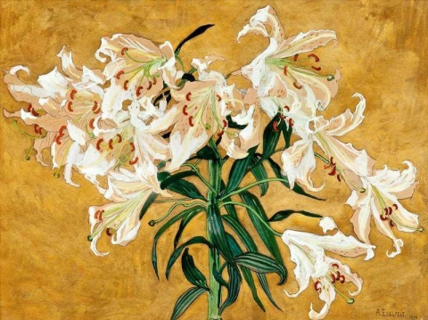 Lilies