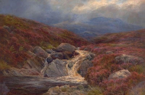 Vid Moorland Tarn 1900