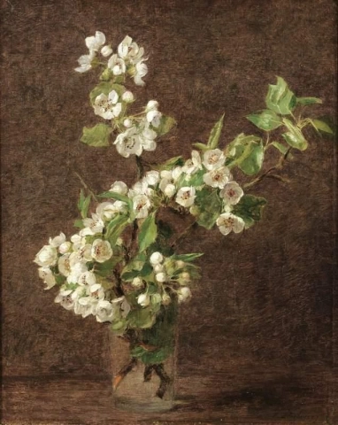 Fleurs De Pommier