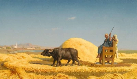 Le trebbiatrici del grano Egitto 1859