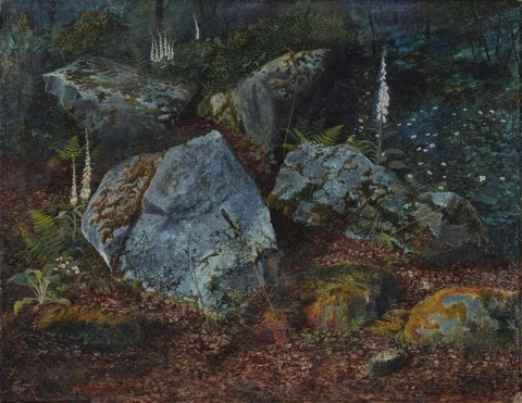 Felsbrocken im Storesforth Wood 1863