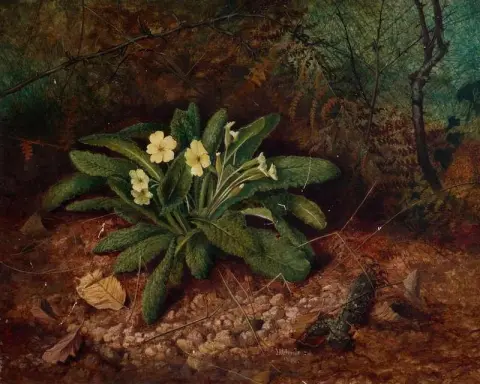 Sleutelbloemen 1862