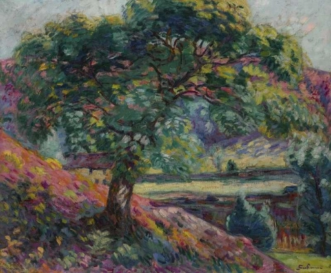 Arbres En Le-de-france Ca. 1895